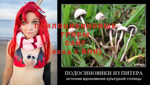 амф Армянск
