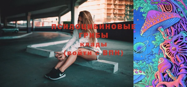 прущие грибы Балахна