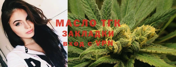 твердый Аркадак