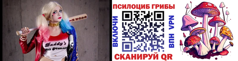 Галлюциногенные грибы мухоморы  ссылка на мегу ONION  Николаевск 
